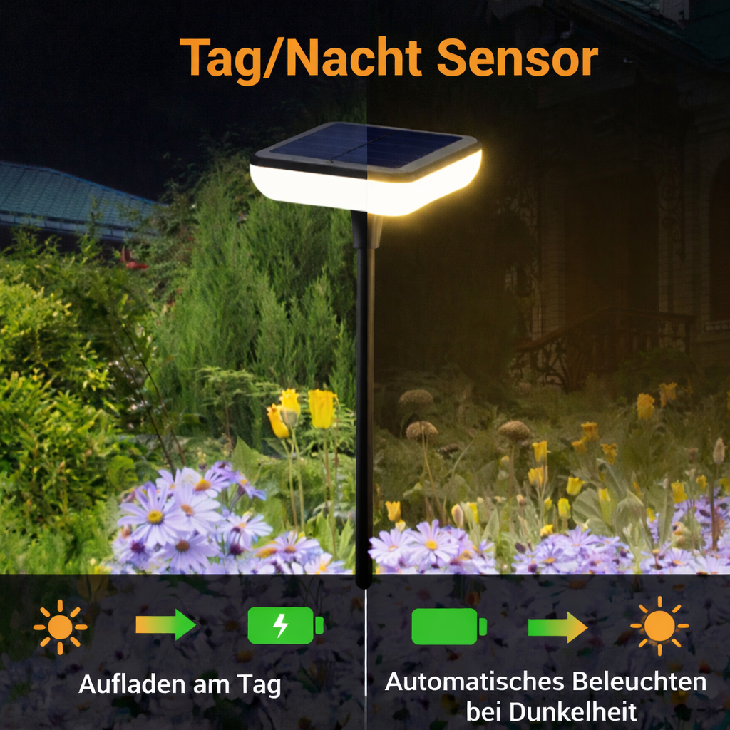 6040  Wackellicht - Premium (4 Stück)