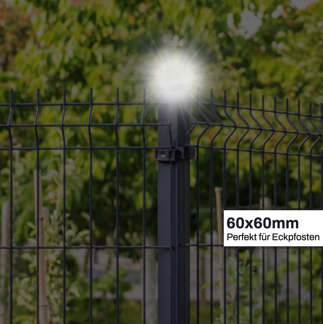 60x60 Leuchte