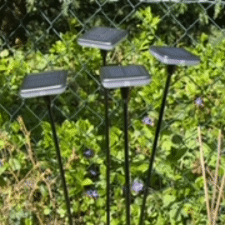 6040  Wackellicht - Premium (4 Stück)